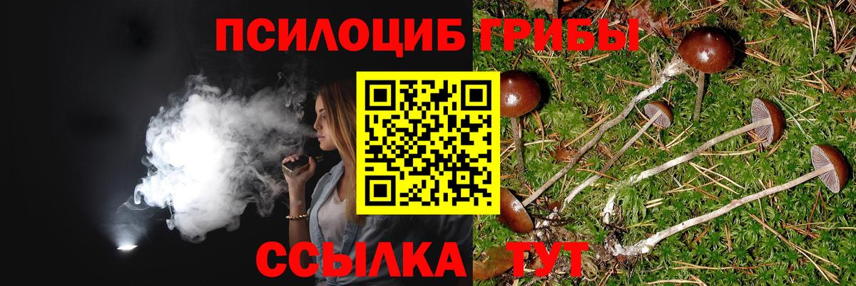 Балтийск  Псилоцибиновые грибы ЛСД  Вход с VPN 